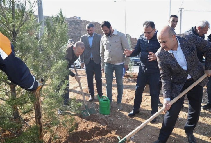 Mardin'de Yollar Yeşlleniyor