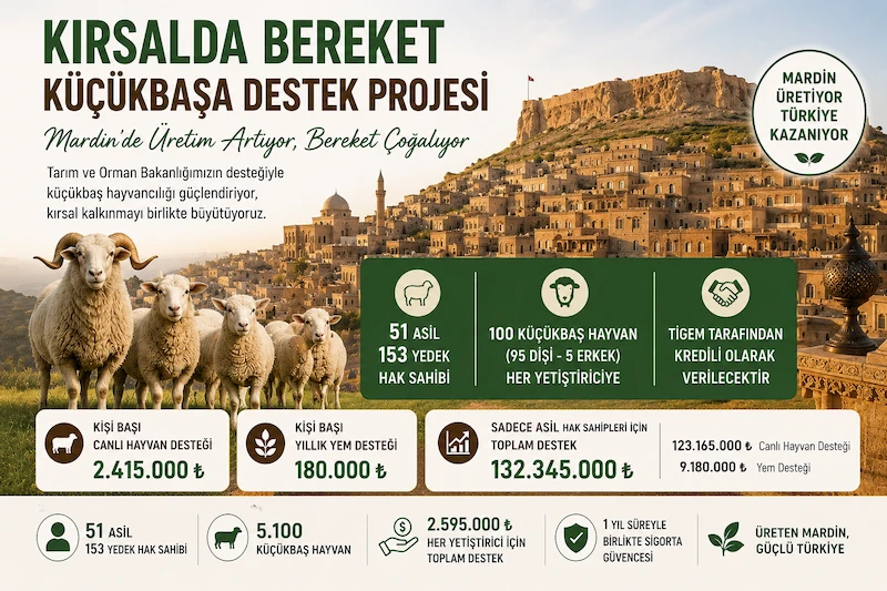 Mardin Hayvancılığına 132 Milyon Liralık Dev Destek