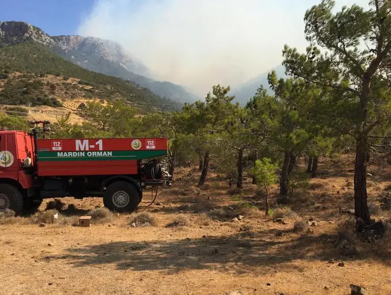 Mardin itfaiyesi yangın bölgesinde çalışmalarını sürdürüyor