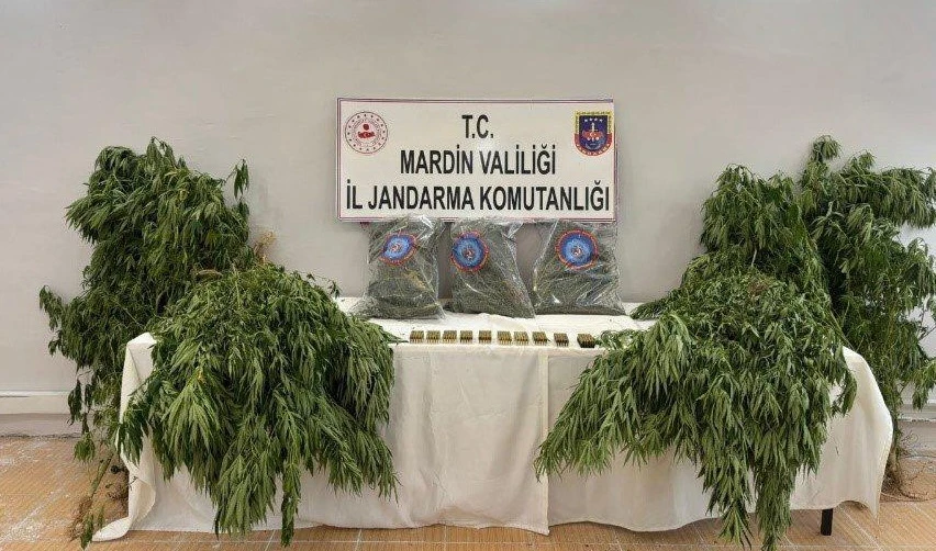 Mardin Jandarma&rsquo;dan Uyuşturucu Operasyonu