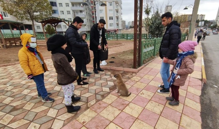 Öğrenciler ’den Sokak Hayvanlarına mama