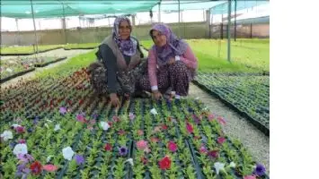 Kendi Fidanın Kendi &Uuml;reten Belediye Kazan&ccedil; Sağlıyor