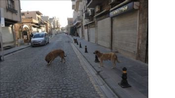 Mardin´de Tarih Sokaklar Boş