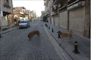 Mardin&acute;de Tarih Sokaklar Boş