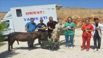 Mardin&acute;de işkence g&ouml;ren at tedavi i&ccedil;in İstanbul&acute;a g&ouml;nderildi