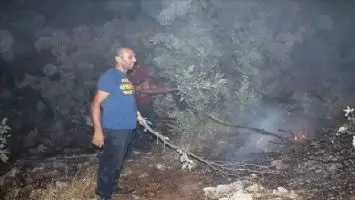 Midyat&acute;ta korkutan orman yangını