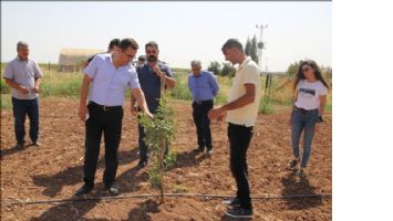 Mardin meyvecilikte marka olma yolunda