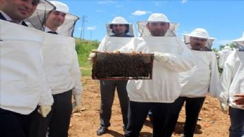 Savur&#039;da Arıcılık Projesi hayata geçirildi