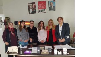 CHP kadın Kollarından, Kadına Şiddet Açıklaması
