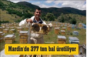 Mardin´de 377 ton bal üretiliyor