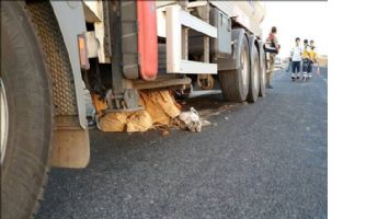 Midyat´ta Trafik kazası: 1 Ölü 1 Yaralı