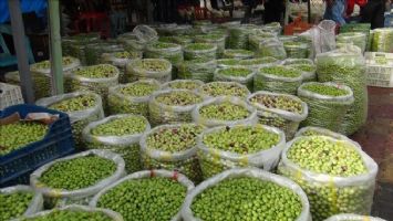 Mardin´de zeytin pazarı kuruldu