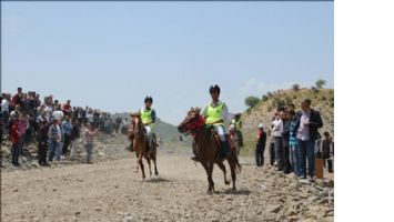 Mardin`de atlar &quot;rahvan&quot; yarıştı