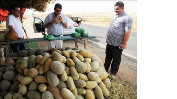 Midyat kavunu özlemi