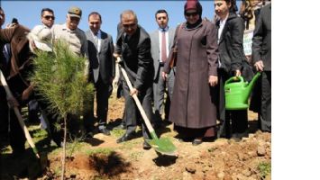 Mardin`de &quot;Bereket Ormanları&quot; projesi