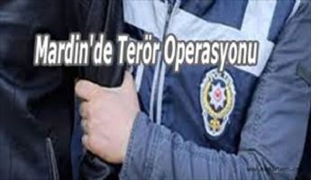 Mardin´de terör operasyonu: 1 tutuklama