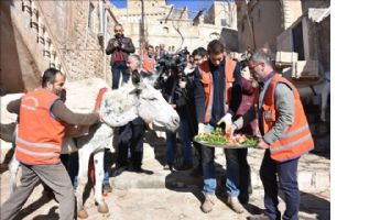 Mardin´de Kadrolu Eşekler Törenle Emekli Edildi.