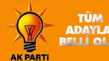 Mardin`de AK Parti Adayları Belli oldu