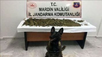 MARDİN´DE 15 KİLO 500 GRAM ESRAR ELE GEÇİRİLDİ