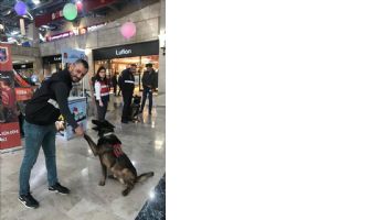Jandarma, Narkotik Köpekleri ile gösteri yaptı