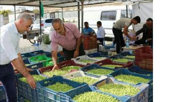 &quot;Zeytinin fiyatı da kalitesi de iyi&quot;