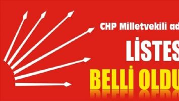 CHP Mardin Milletvekili adayları