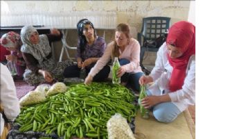 Midyat Acur´undan Turşu Yapıyorlar