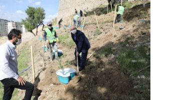 Mardin´de Ekobox  ile ağaç dikimi