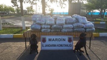 Mardin`de 211 Kilogram Esrar Ele Geçirildi