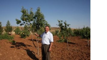 Midyatlı Çiftçinin Örnek Başarısı