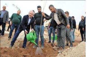 Mardin´de 47 Bin Ağaç Toprakla Buluşuyor..