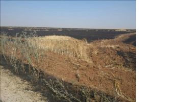 Mardin Ovasında Tarla Yangını