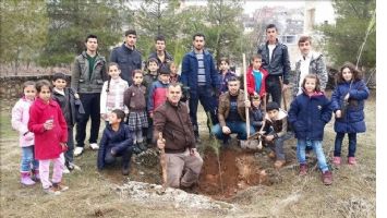 Midyat İlçesinde Anlamlı Proje