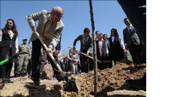 Yaman, ?Yeşil Bir Mardin İçin Çalışmalarımızı Başarıyla Sürdürüyoruz?