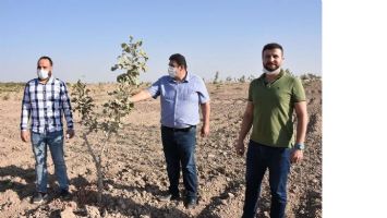 Mardin Çiftçisi Fıstıkla tanıştı