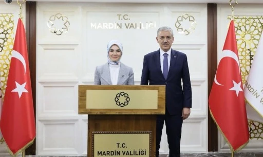 Bakan G&ouml;ktaş Mardin&rsquo;den A&ccedil;ıkladı: Doğum Yardımları Annelerin Hesaplarına Yatırıldı