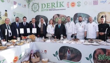 Derik’te Zeytin Çalıştayı 