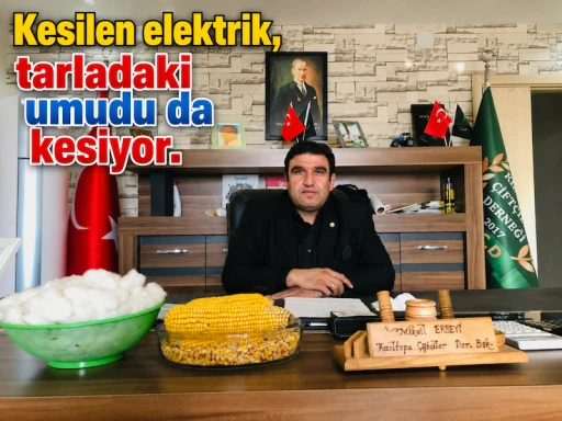 Elektrik Kesintileri &Ccedil;ift&ccedil;iyi İsyan Ettirdi