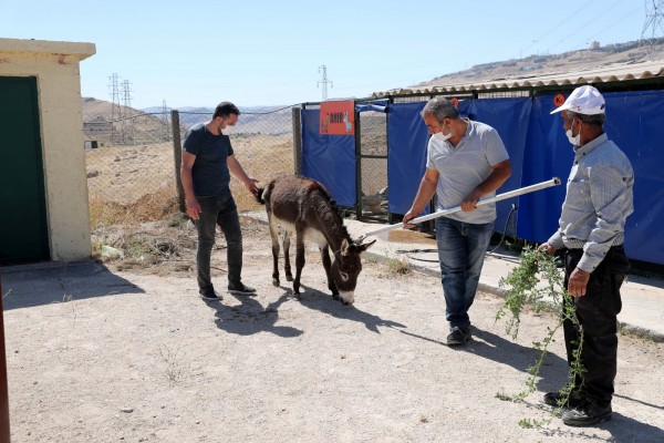 Hayvan Dostu Belediye