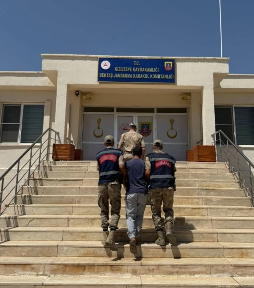 Hayvan Kısırlaştırmasında uygunsuz paylaşım yapan kişi yakalandı
