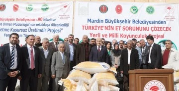 Mardin’de;  100 işletmeye, 100 ton yem dağıtıldı