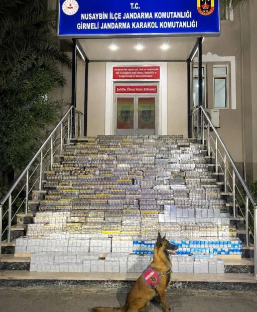Mardin&rsquo;de 2 Milyon Liralık Ka&ccedil;ak Sigara Operasyonu