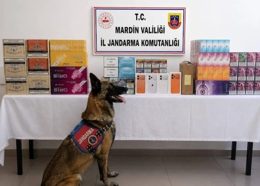 Mardin'de 2 Milyon TL'lik Ka&ccedil;ak T&uuml;t&uuml;n Operasyonu