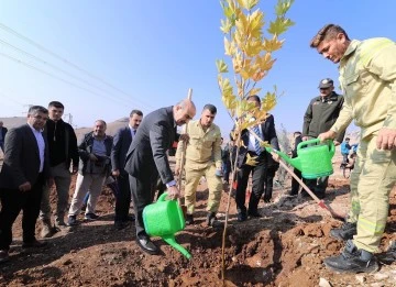 Mardin'de 23 bin Fidan Toprak İle Buluştu