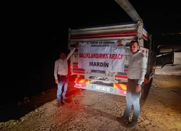 Mardin'de Göletler Balıklandırılıyor