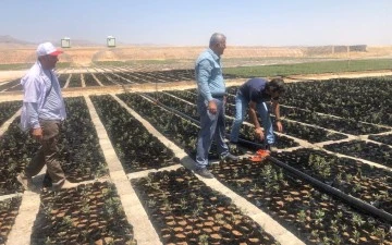 Mardin’de Meyve Fidanı Üretim Merkezi