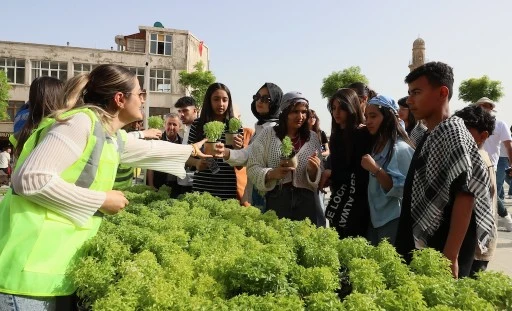 Mardin  Fesleğen Kokacak