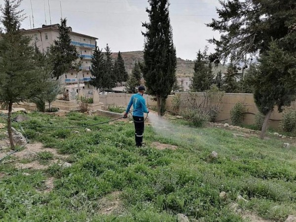 Mardin Genelinde İlaçlama Başlatıldı