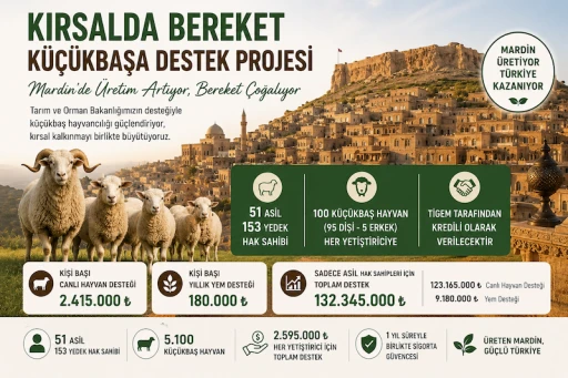Mardin Hayvancılığına 132 Milyon Liralık Dev Destek