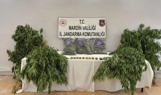 Mardin Jandarma&rsquo;dan Uyuşturucu Operasyonu